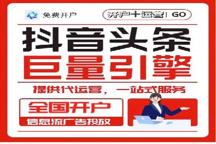 百度广告投放策略与效果评估案例